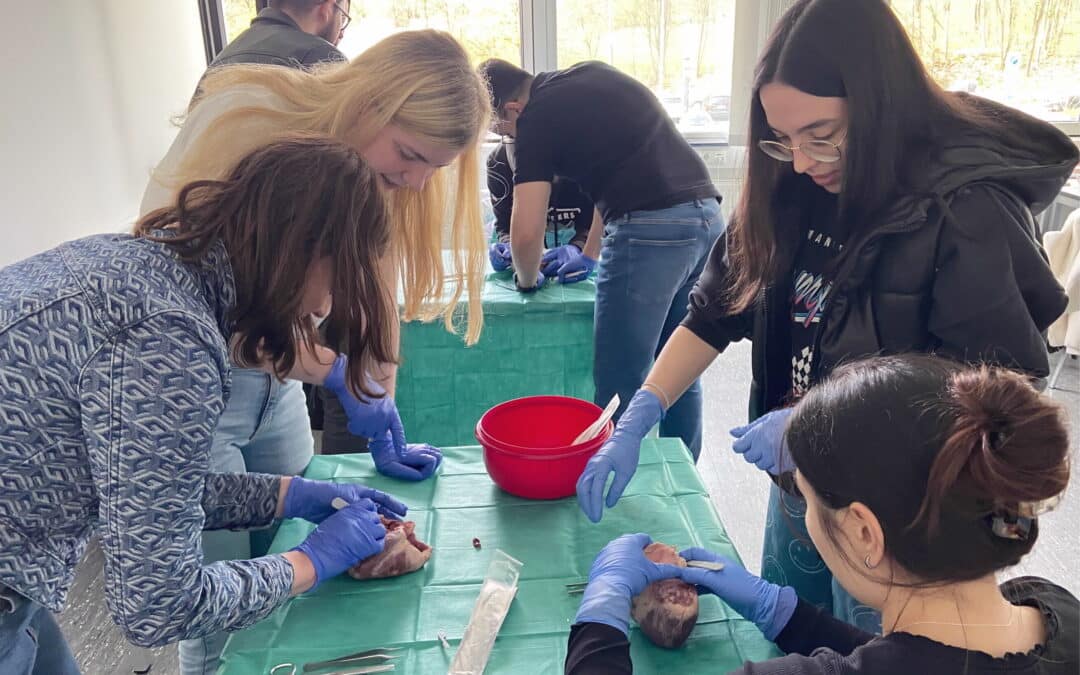 Impressionen aus dem Unterricht in der OTA-Schule am Märkischen Bildungscampus